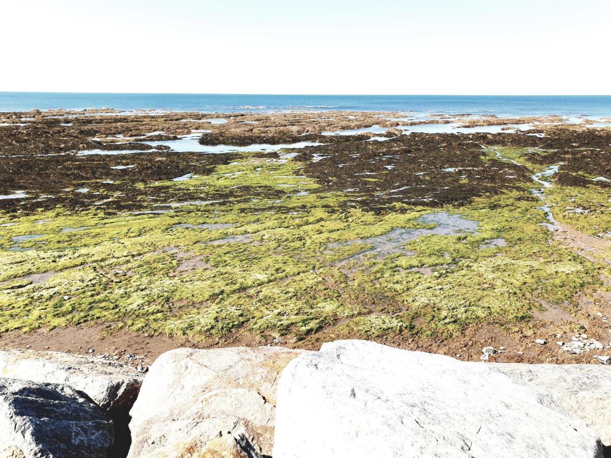 Le Temps D'Une Pause Brétignolles-sur-Mer 외부 사진
